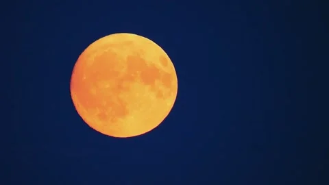 Huge orange moon rises up in the evening sky Stock Footage 309852622