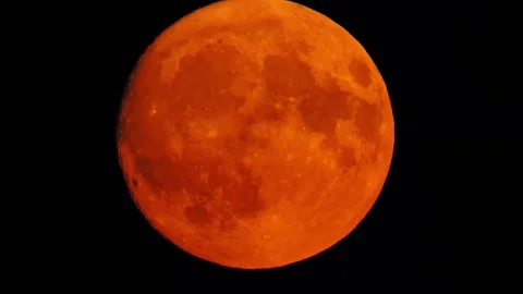 Huge orange moon rises up in the evening sky Stock Footage 309852880