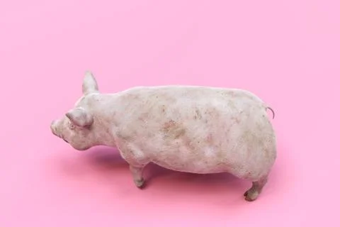 Huge pig Stock Illustration