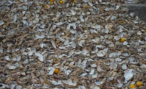 Huge pile of oyster shells at Cancale, France Stock Photos