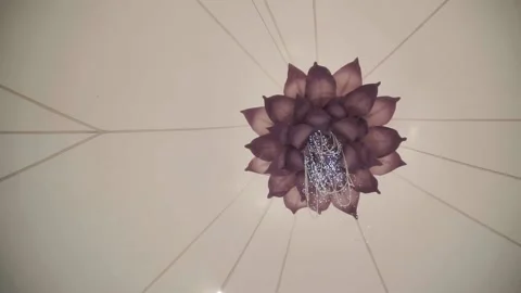  huge pink lotus on the ceiling Stock Footage 134380615