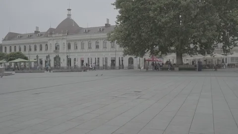 Huge Plane Tree in Trg Slobode, Tuzla, Bosnia Herzegovina, Slog2 Stock Footage 93259001