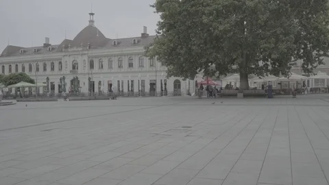 Huge Plane Tree in Trg Slobode, Tuzla, Bosnia Herzegovina, pan right, Slog2 Stock Footage 93259042