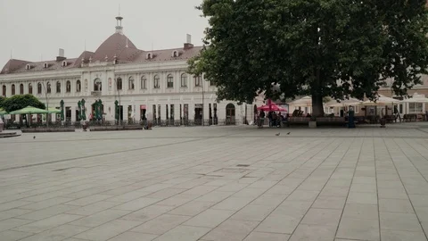 Huge Plane Tree in Trg Slobode, Tuzla, Bosnia Herzegovina, pan right, Rec709 Stock Footage 93259062