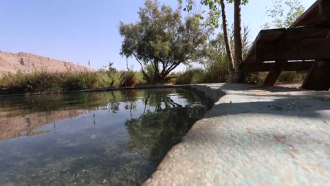 A huge pool of fresh water - Einot Tzukim. Stock Footage 200175018