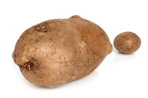 Huge potato Stock Photos