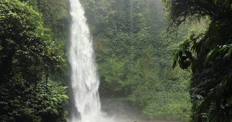 A huge powerful waterfall in the jungle. The plot is shot from the bottom up Stock Footage 148099964