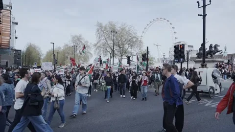 Huge pro-Palestine protest crowd. Stock Footage 276607272
