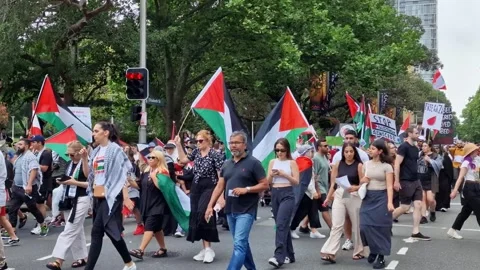 HUGE PROTESTS THROUGH MAJOR CITIES DEMAND GAZA CEASE-FIRE SYDNEY AUSTRALIA Stock Footage 257043446