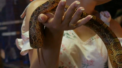 Huge python in the arms of a woman in a petting zoo Stock Footage 142209388
