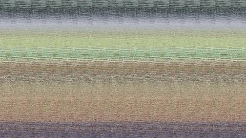 Huge python released in South Africa 库存影片 106307746