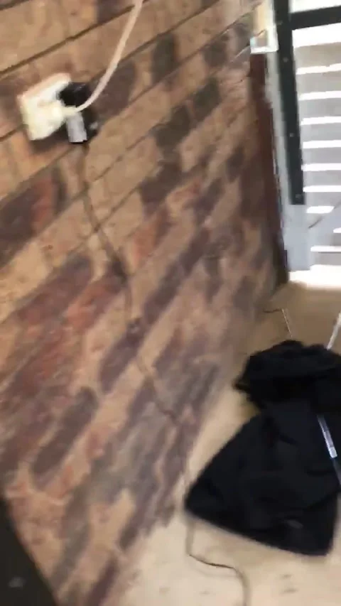 Huge Python in a Small Toy, Cooroy, Queensland, Australia - 05 May 2017 Stock Footage 205285999