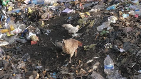 Huge Quantity Of Plastic Garbage And Other Pollution Vidéo 155269465