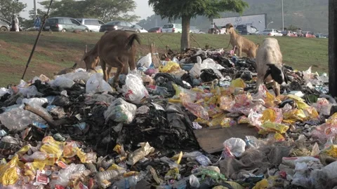 Huge Quantity Of Plastic Garbage And Other Pollution Stock Footage 155357752