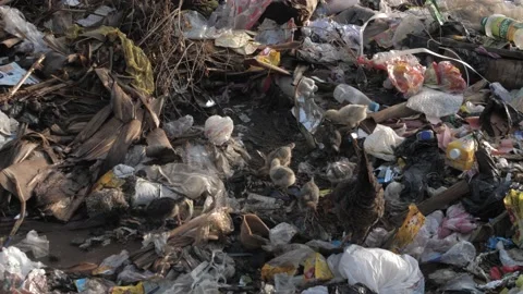 Huge Quantity Of Plastic Garbage And Other Pollution Stockbeeldmateriaal 155365145