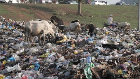 Huge Quantity Of Plastic Garbage And Other Pollution Stock-Footage 155366089
