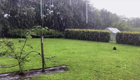 Huge Rain Stockbeeldmateriaal 200159976