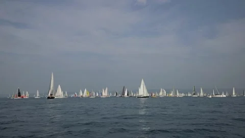 Huge regatta in Trieste Stock Footage 254583548