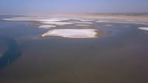 Huge river delta with tiny mangrove islands and salty sandy area Stock Footage 221598860