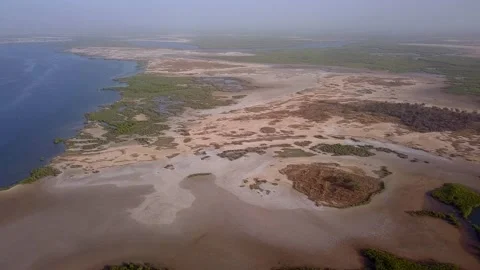 Huge river delta with tiny mangrove islands and salty sandy area Stock Footage 221599078