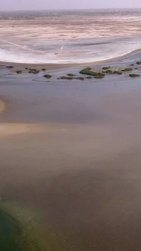 Huge river delta with tiny mangrove islands and salty sandy area Video stock 230681730