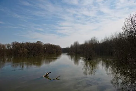 Huge River Stock Photos