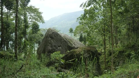 Huge rock in the middle of the dense forest with mountains, in Darjeeling, India Stock Footage 238820938