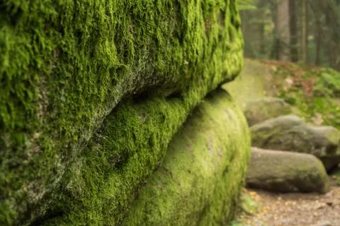 Huge rocks in the forest Foto stock