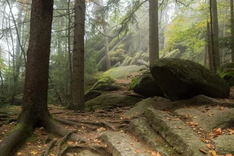 Huge rocks in the forest Stock Photos