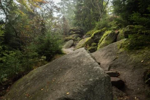 Huge rocks in the forest Foto stock
