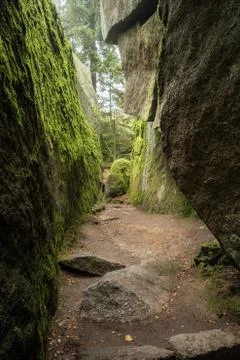 Huge rocks in the forest Stock-Fotos