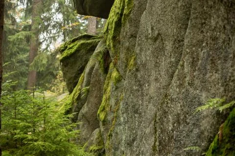Huge rocks in the forest Foto stock