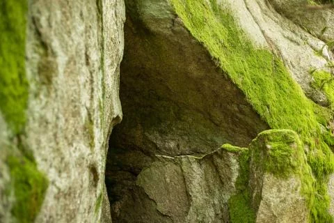 Huge rocks in the forest Stock Photos