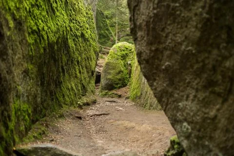 Huge rocks in the forest 스톡 사진