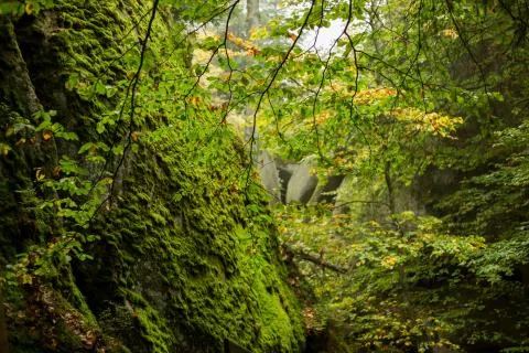 Huge rocks in the forest Foto stock