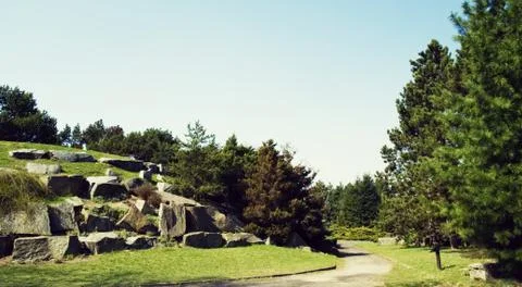Huge rocks in the forest. Stock Photos
