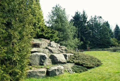 Huge rocks in the forest. Stock Photos