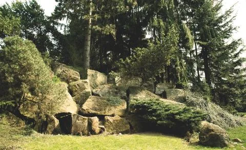 Huge rocks in the forest. Stock Photos