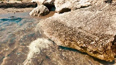 Huge rocks on the shore and a caustic effect Stock Footage 279145176