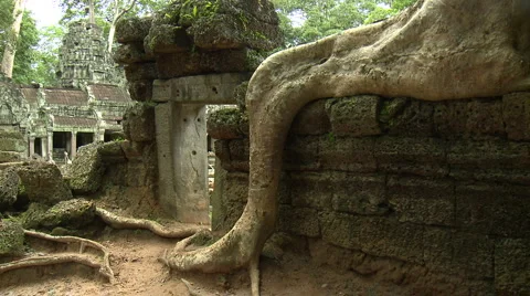Huge root growing over a wall of an ancient temple Ta Phrom Stock Footage 924577