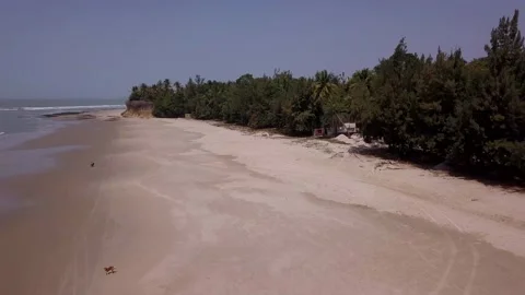 Huge sandy beach with waves crashing and tropical vegetation along the coast Stock Footage 208937025
