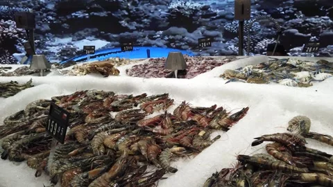 Huge seafood section inside Carrefour supermarket at Mall of the Emirates in  Video stock 312335472