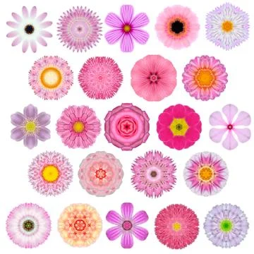 Huge Selection of Various Concentric Mandala Flowers Isolated on White Stock Photos