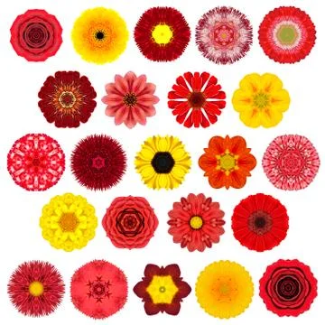 Huge Selection of Various Concentric Mandala Flowers Isolated on White Stock Photos