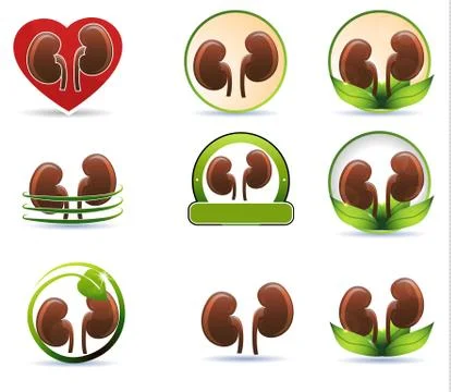 Huge set of kidneys icons Stock Illustration