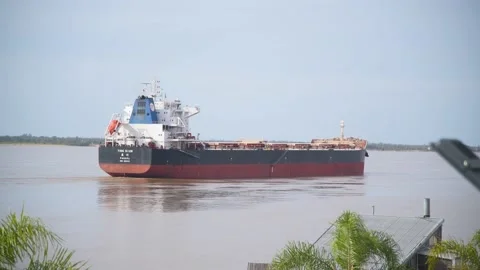 A huge ship is moving cargo on Paraná river, Argentina Video stock 212246776