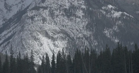Huge snow covered mountain with forested area on it Stock Footage 86246922