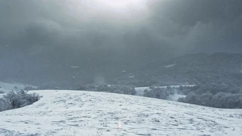 Huge snowflakes falling on a lonely pine tree between a mountian forest Stock Footage 147728498