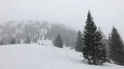 Huge snowflakes falling in slow motion Stock Footage 141451287