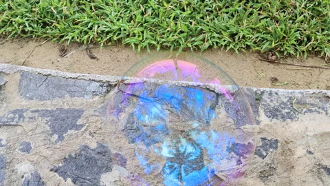 Huge soap bubble reflect nature. Stock Footage 273281341